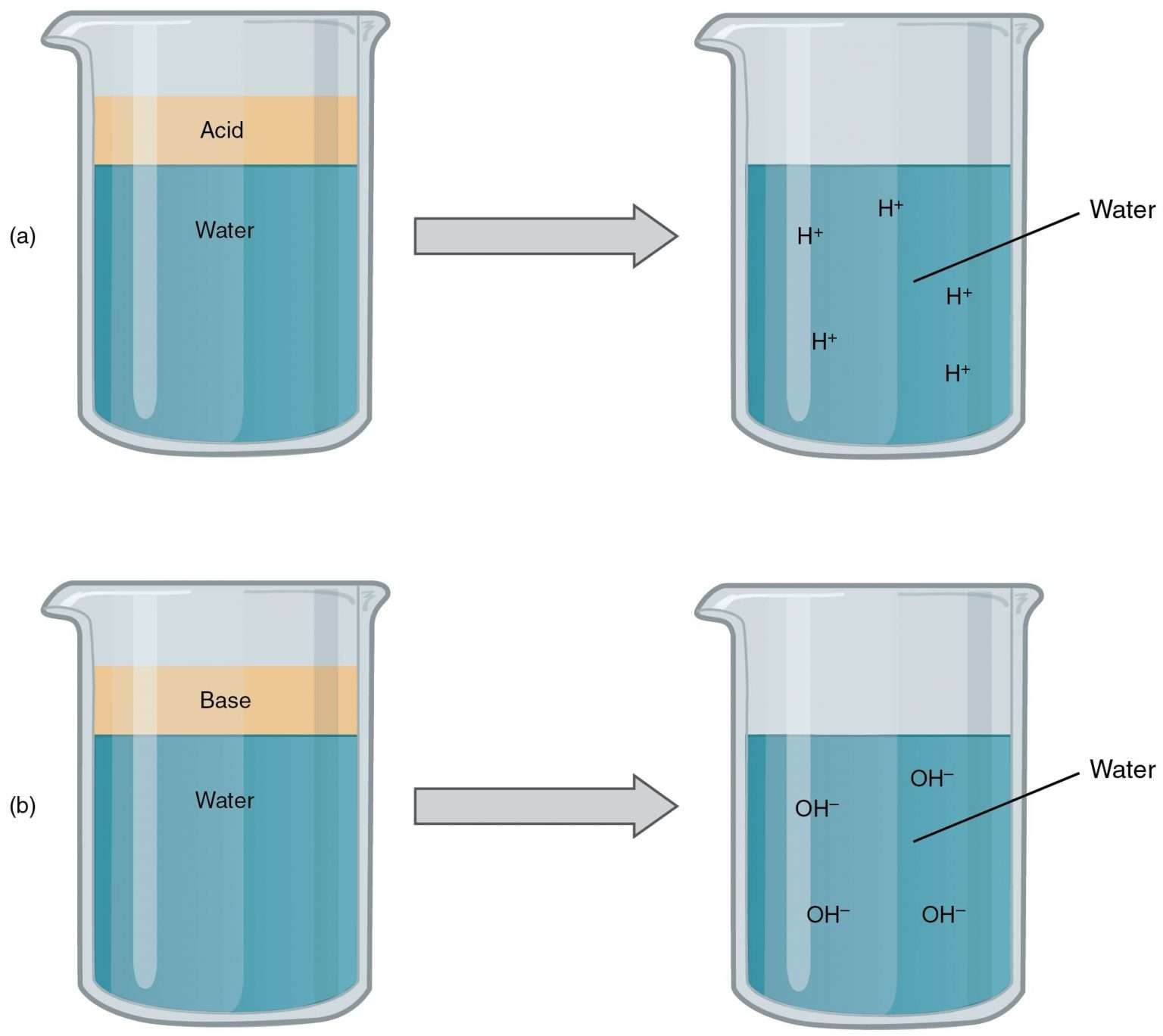 Acids And Bases Properties Worksheets