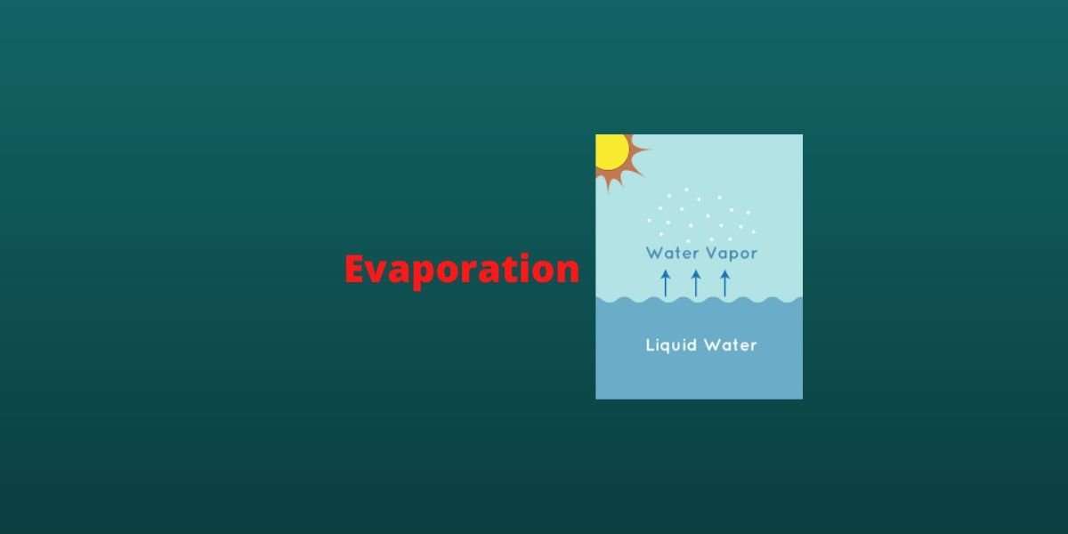 What is Evaporation? Definition & Examples CBSE Digital Education