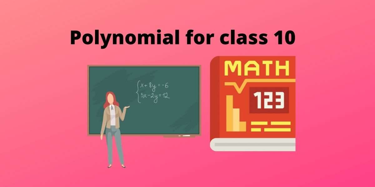 polynomial for class 10