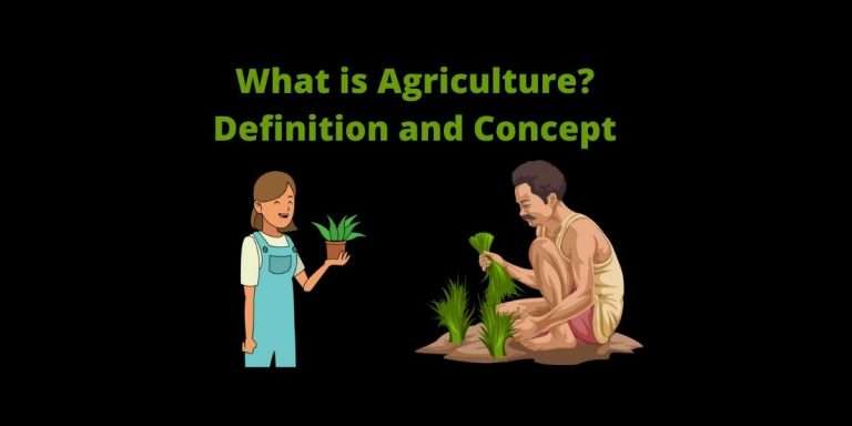 what is Agriculture