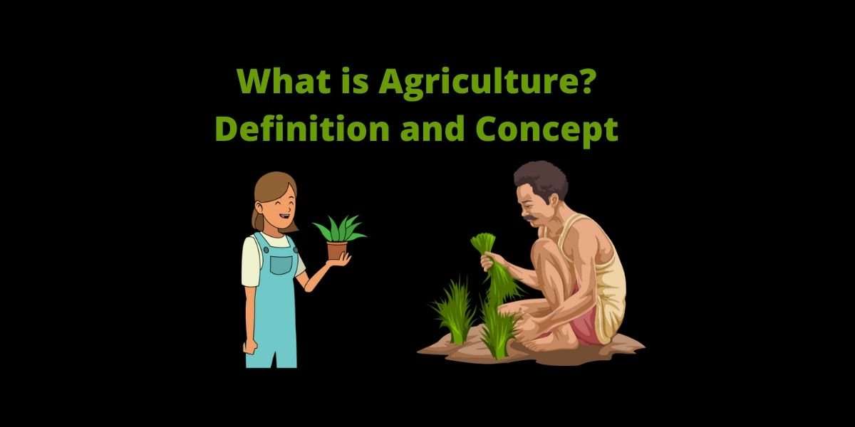what is Agriculture