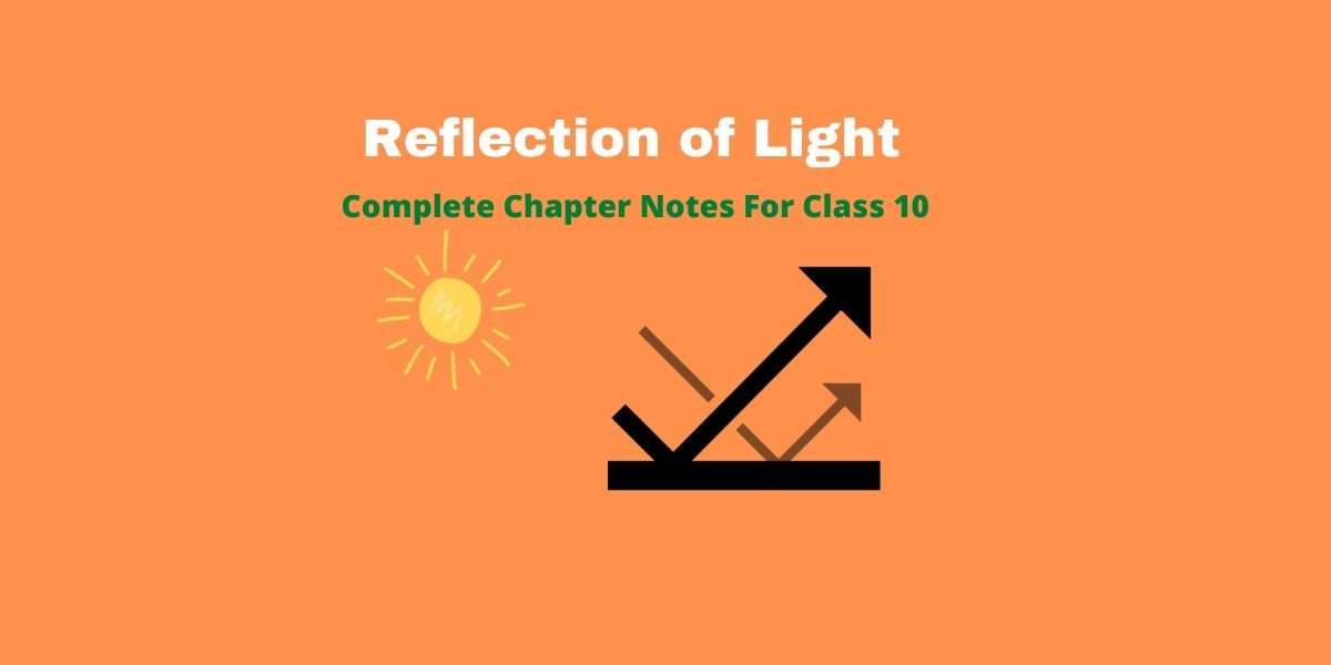 Reflection of Light