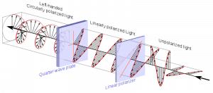 What is Polarization