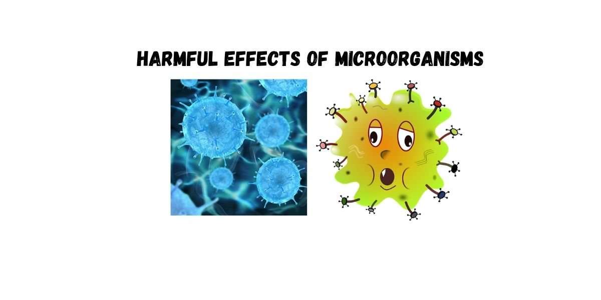 Harmful effects of Microorganisms