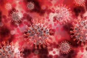 Essay on Coronavirus
