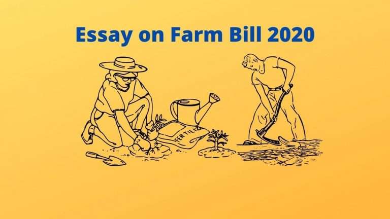 Essay on Farm Bill 2020