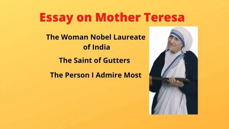 essay on mother teresa in english for class 7
