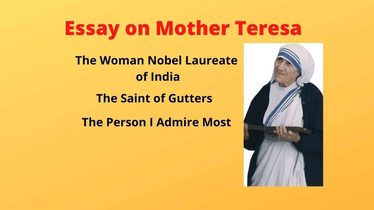 Essay on Mother Teresa