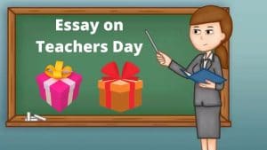 Essay over Teachers Day