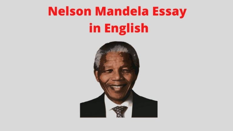 Nelson Mandela Essay