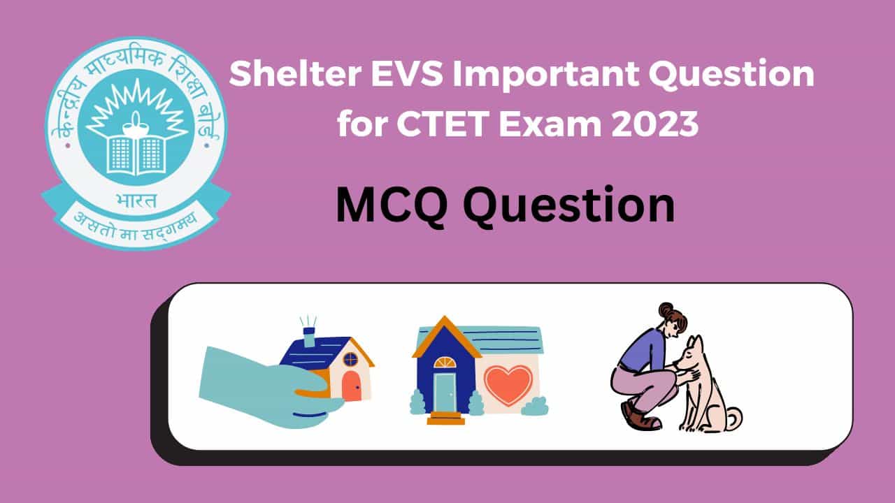 Shelter EVS Important Question for CTET Exam 2023